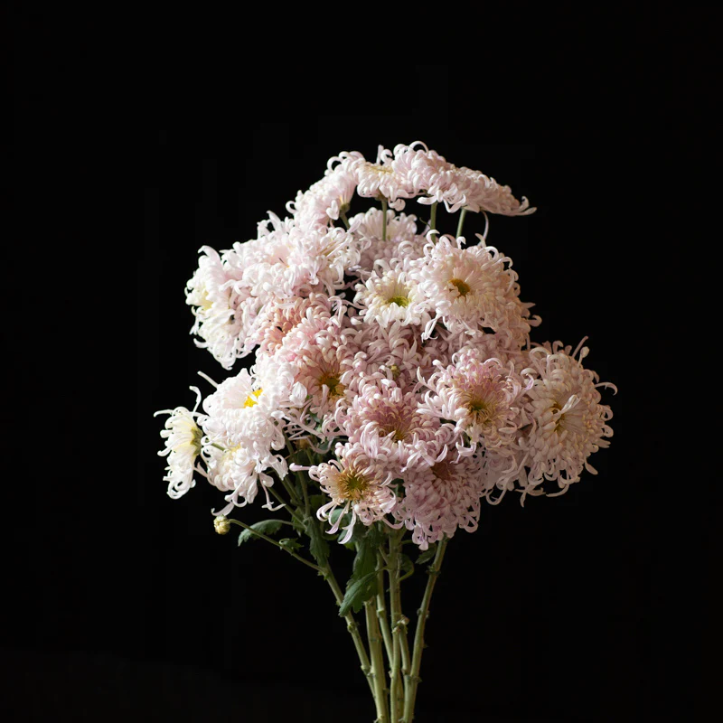 All